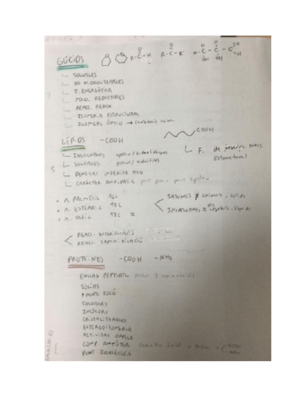 Miniatura del documento RESUM-BIOMOLECULES.pdf
