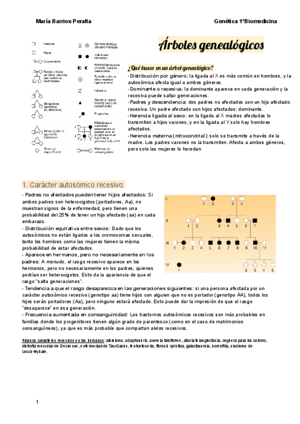 Miniatura del documento Arboles-genealogicos.pdf