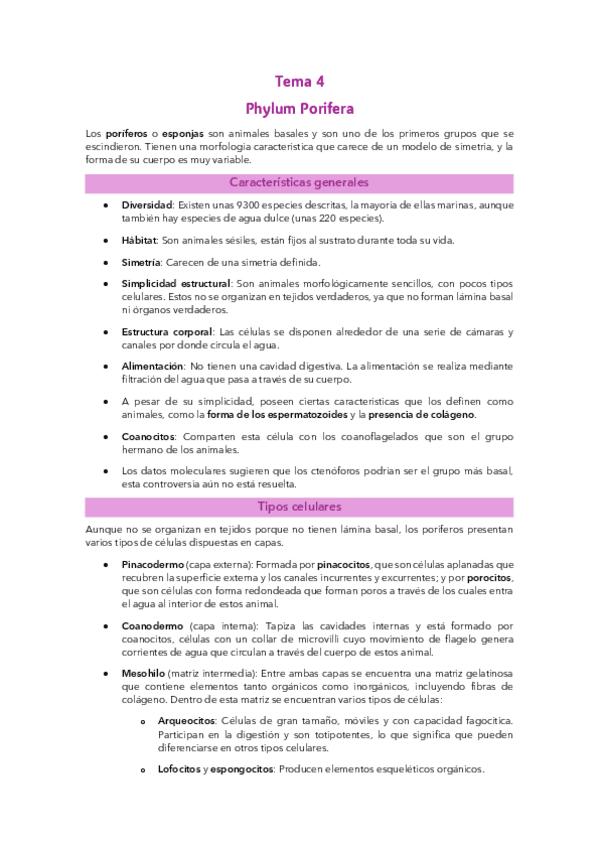 Miniatura del documento Tema 4: Phylum Porifera.pdf