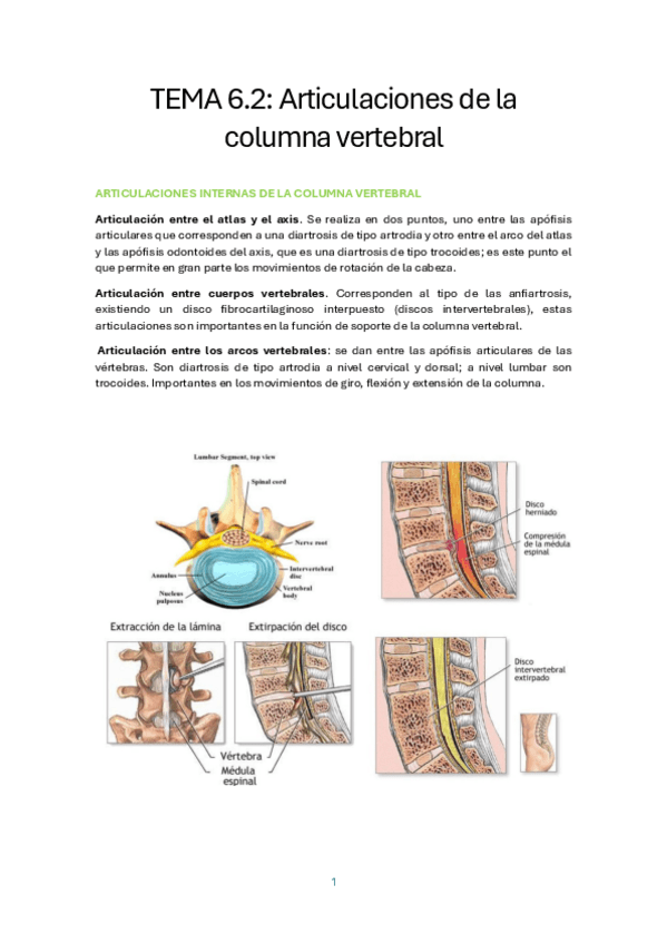 Miniatura del documento TEMA-6.2.-ARTICULACIONES-DE-LA-COLUMNA-VERTEBRAL.pdf