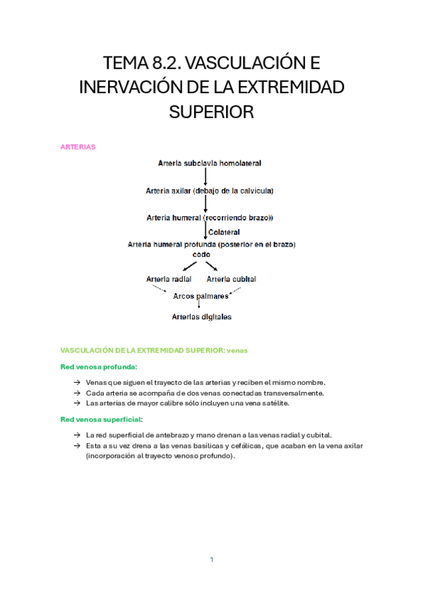 Miniatura del documento TEMA-8.2.-VASCULACION-E-INTERVENCION-DE-LA-EXTREMIDAD-SUPERIOR.pdf