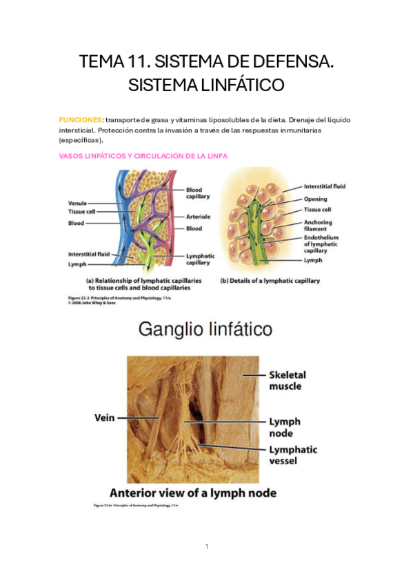 Miniatura del documento TEMA-11.-SISTEMA-DE-DEFENSA.pdf