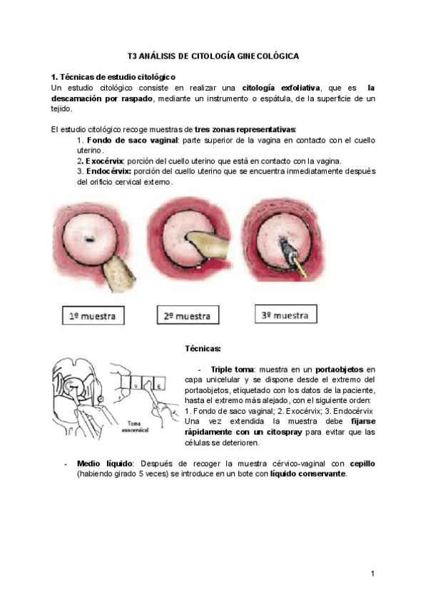 Miniatura del documento T3-ANALISIS-DE-CITOLOGIA-GINECOLOGICA-Gineco.pdf