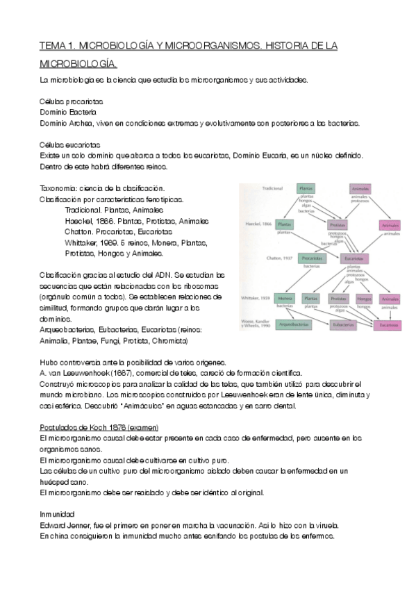 Miniatura del documento TEMA 1. REDACTADO (REVISAR).pdf
