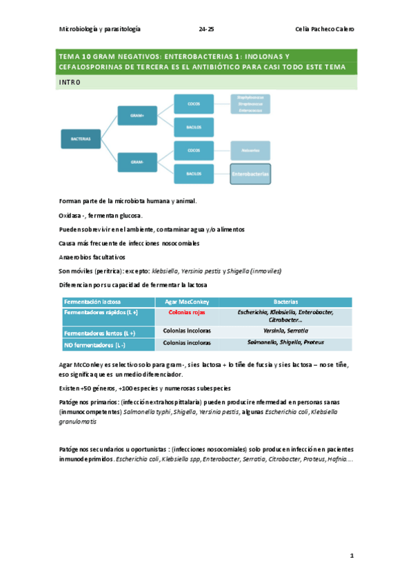 Miniatura del documento 24-25-tema-10-enterobacterias-micro.pdf