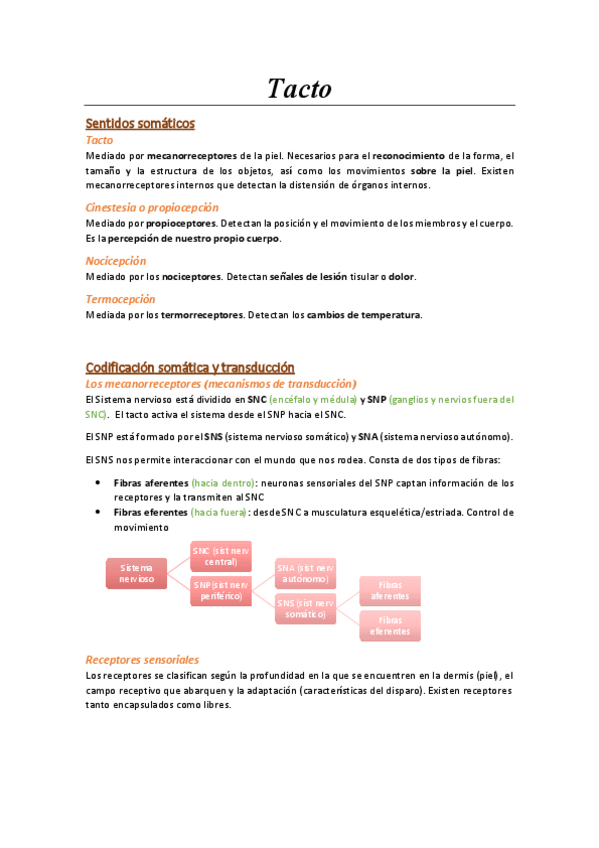 Miniatura del documento Tema-4.-Tacto.pdf
