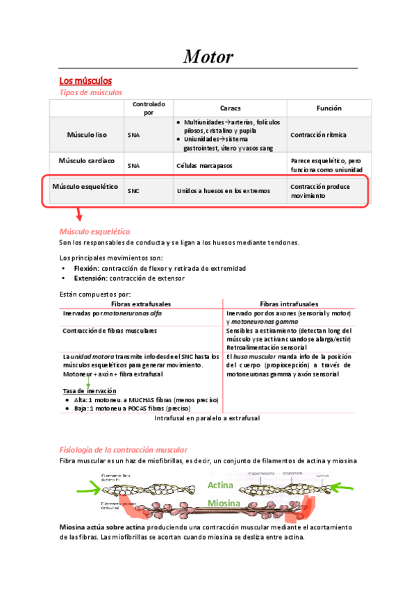 Miniatura del documento Tema-5.-Motor-I.pdf