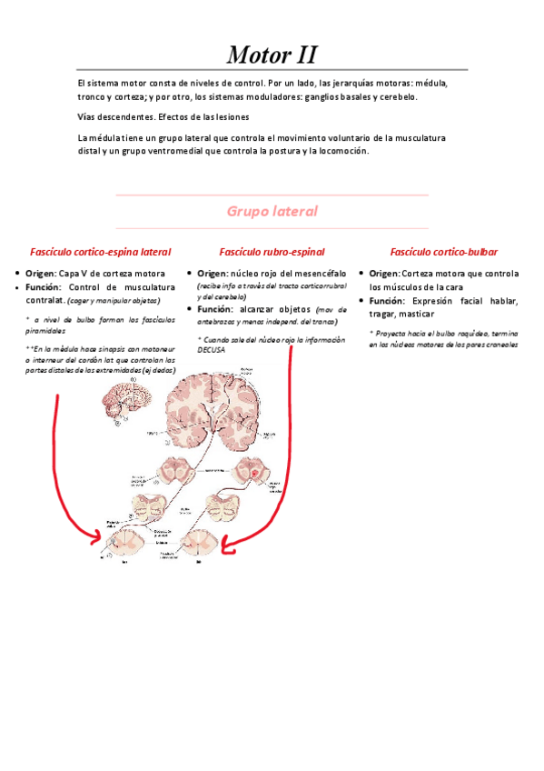 Miniatura del documento Tema-5.-Motor-II.pdf