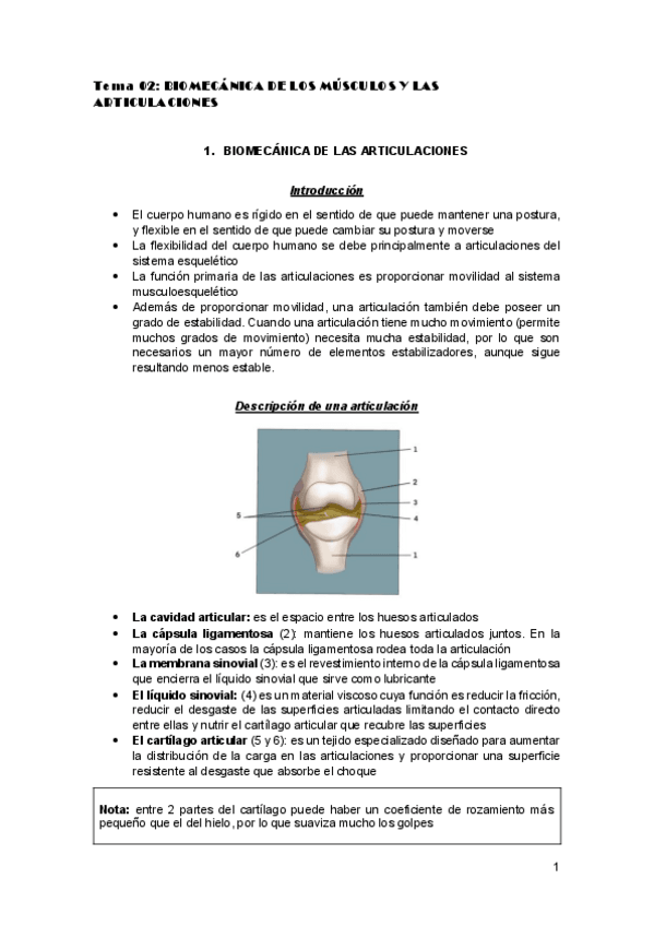 Miniatura del documento apuntes-biomecanica.pdf