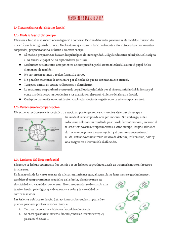 Miniatura del documento RESUMEN-T3-MASOTERAPIA.pdf