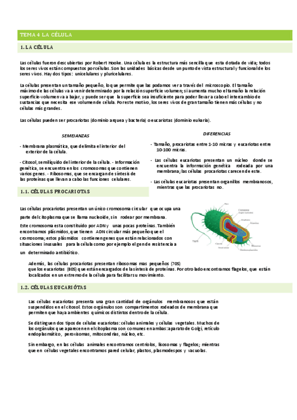 Miniatura del documento TEMA-4.pdf