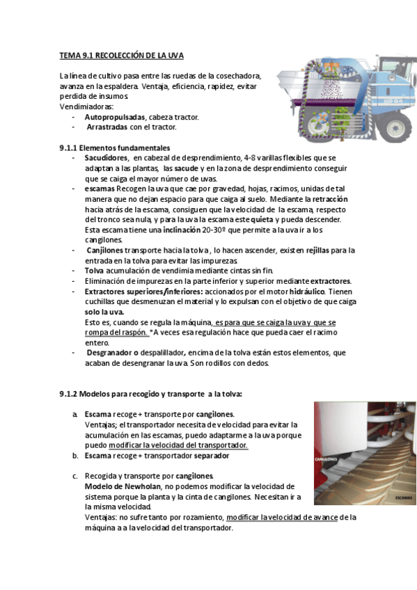 Miniatura del documento temaa-9.pdf