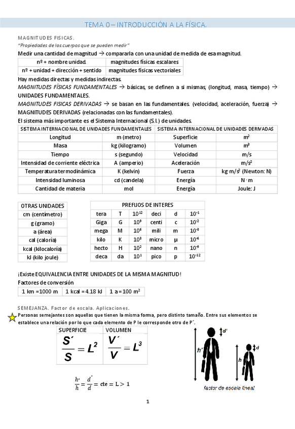 Miniatura del documento FisicaResumen.pdf