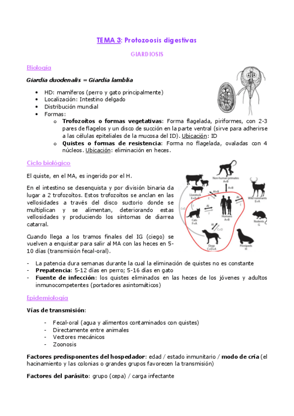 Miniatura del documento EP-Carnivoros-2024.pdf