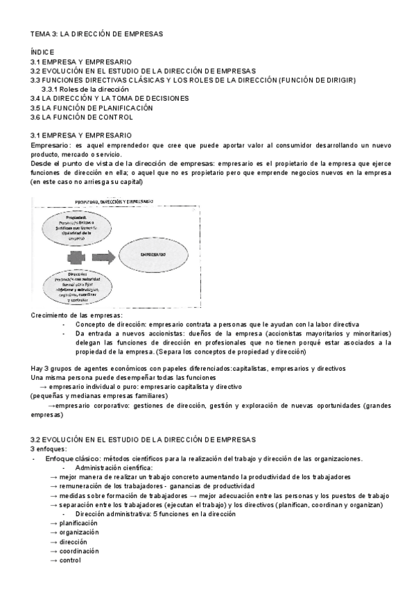 Miniatura del documento TEMA-3-LA-DIRECCION-DE-EMPRESAS.pdf
