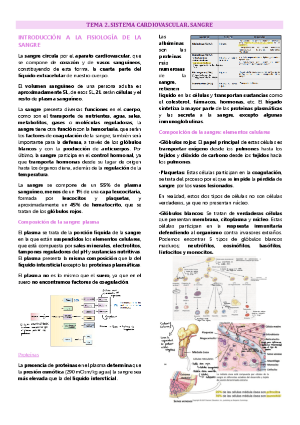 Miniatura del documento Tema 2 fisiologÍa animal. Sistema cardiovascular.pdf