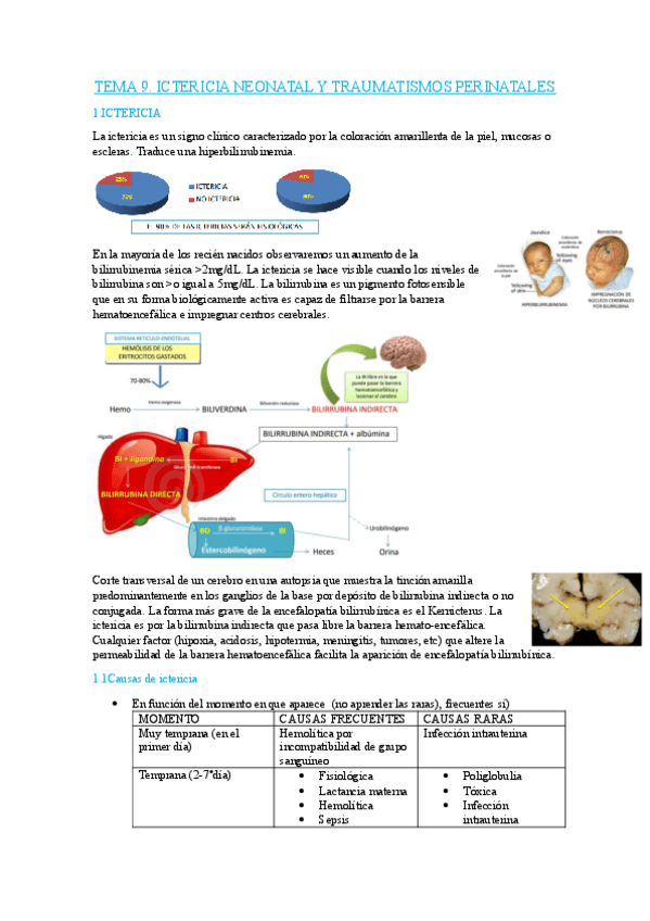 Miniatura del documento TEMA-9-PEDIATRIA.pdf