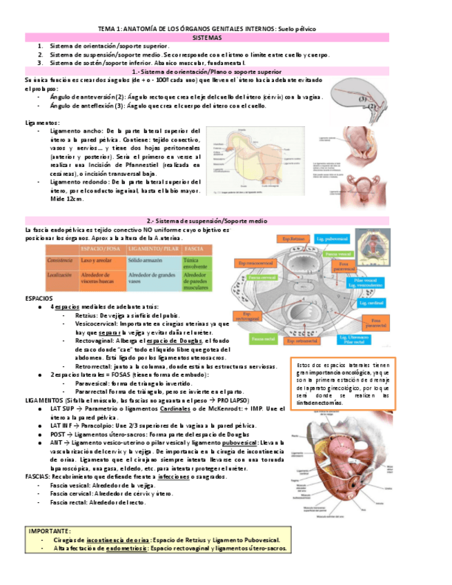 Miniatura del documento Tema-1.PDF