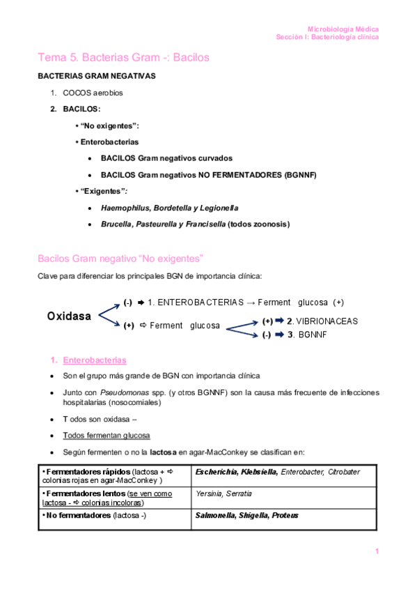 Miniatura del documento Tema 5.pdf