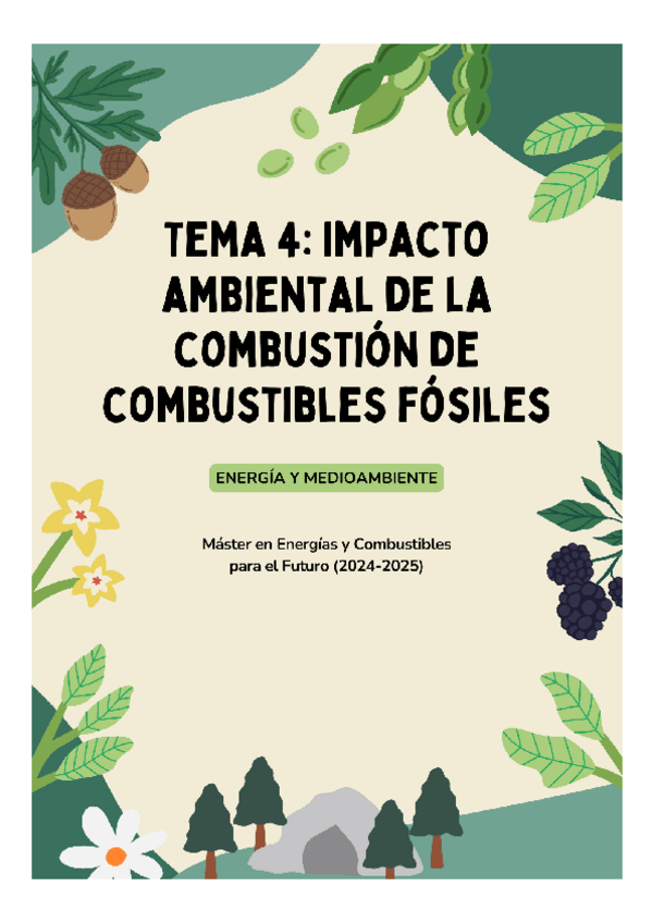 Miniatura del documento Tema-4.-Impacto-ambiental-de-la-combustion.pdf