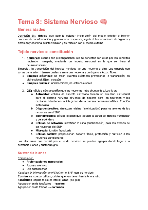 Miniatura del documento Anatomia-S.-Nervioso.pdf