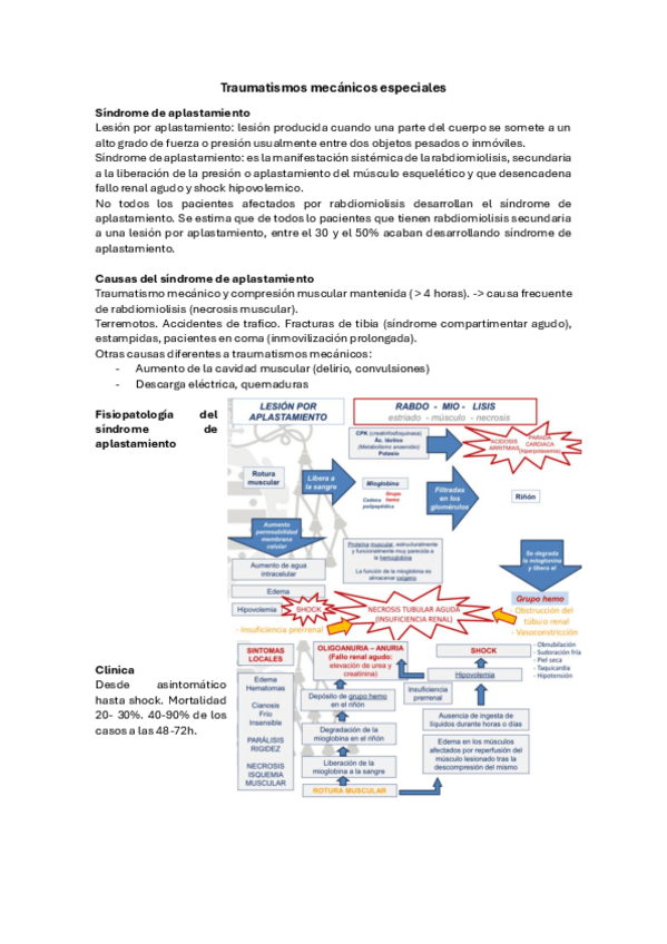 Miniatura del documento Traumatismos-mecanicos-especiales.pdf