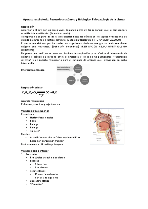 Miniatura del documento Aparato-respiratorio.pdf