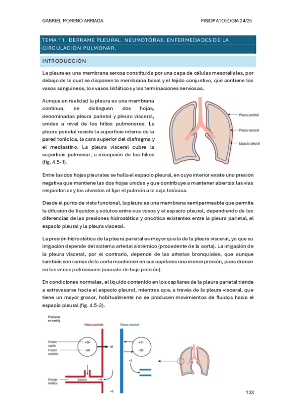 Miniatura del documento TEMA-11.pdf