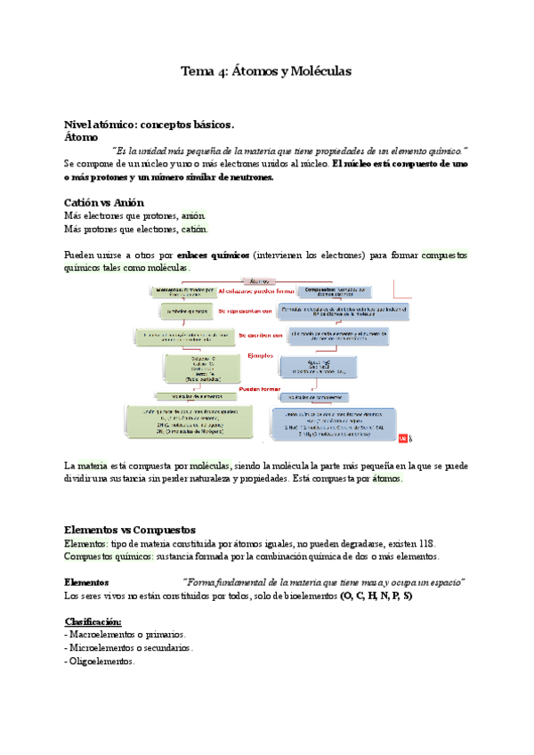 Miniatura del documento Biologia-Tema-4.pdf