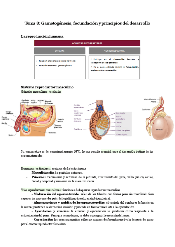 Miniatura del documento Biologia-Tema-8.pdf