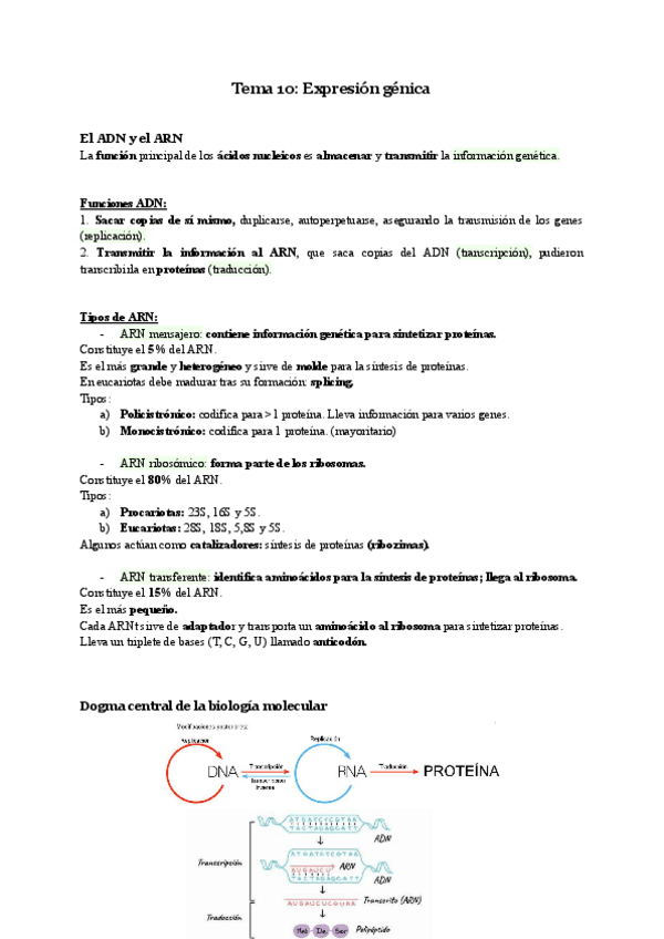 Miniatura del documento Biologia-Tema-10.pdf