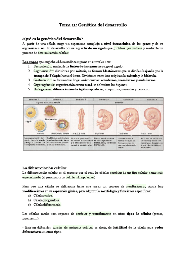 Miniatura del documento Biologia-Tema-11.pdf