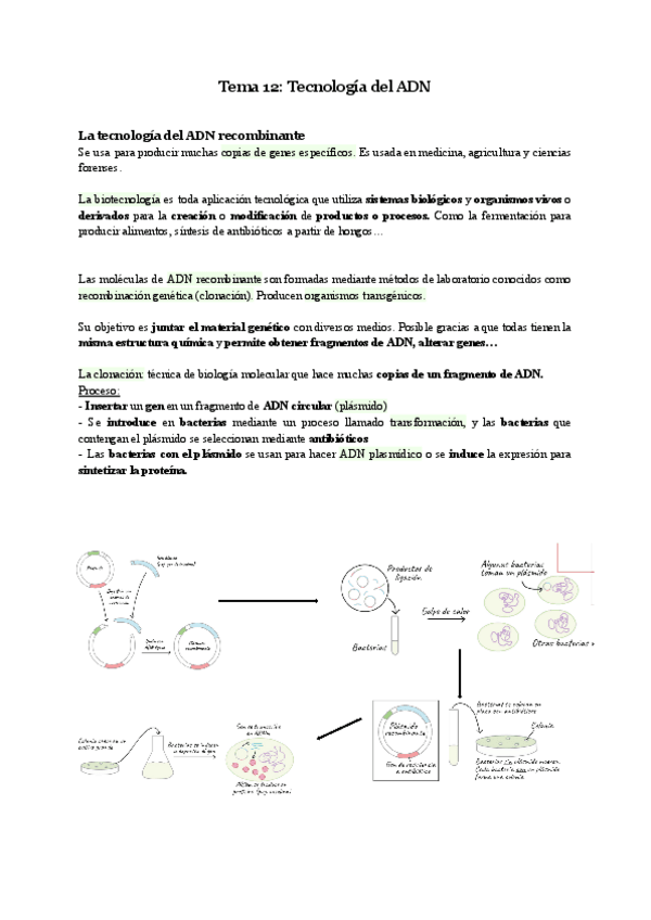 Miniatura del documento Biologia-Tema-12.pdf