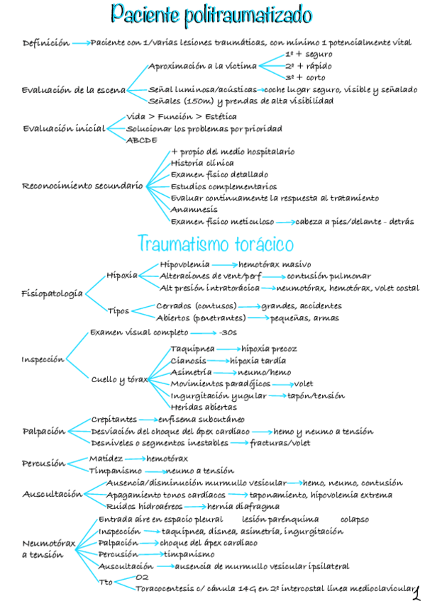 Miniatura del documento Paciente-Politraumatizado.pdf