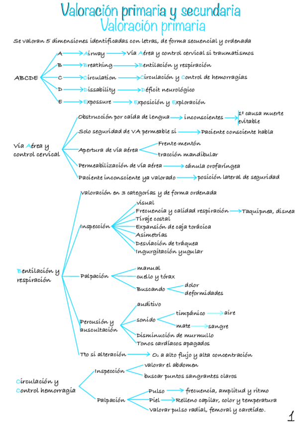 Miniatura del documento Valoracion-Primaria-y-Secundaria-1.pdf