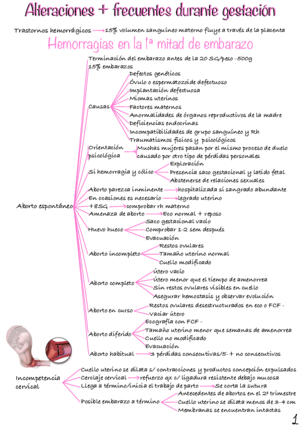 Miniatura del documento Alteraciones-Frecuentes-Durante-Gestacion.pdf