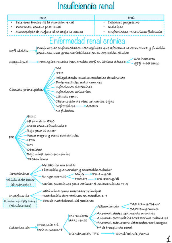 Miniatura del documento Insuficiencia-Renal.pdf