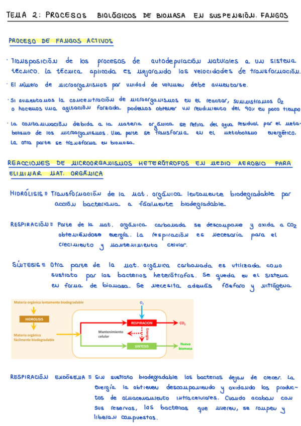 Miniatura del documento Tema-2-Procesos-biologicos-de-biomasa-en-suspension.-Fangos-activos.pdf