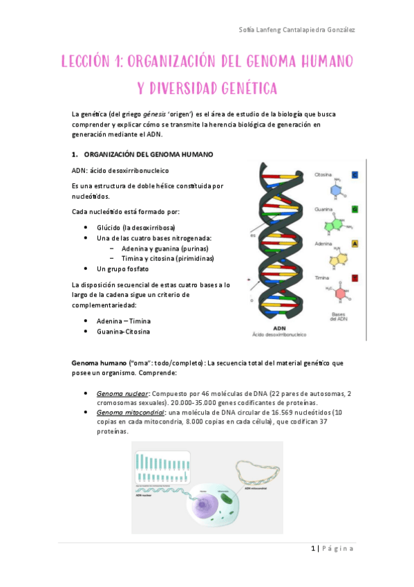 Miniatura del documento Genetica-leccion-1.pdf