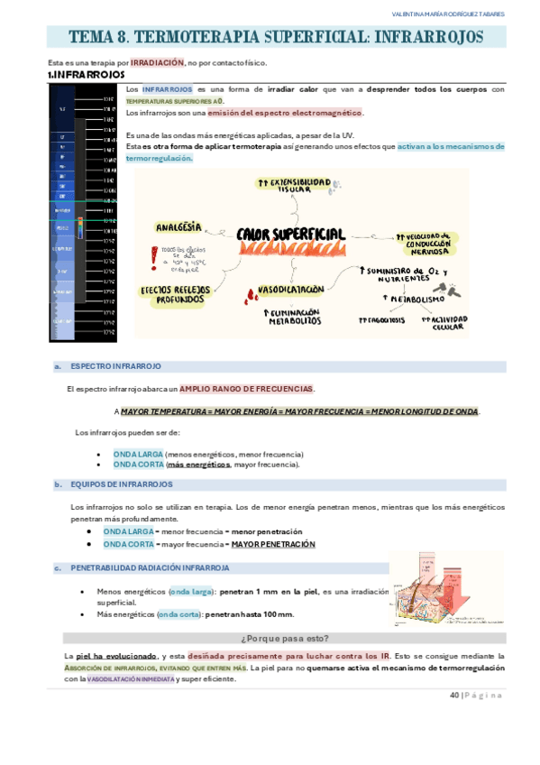 Miniatura del documento TEMA-8-PPGGII.pdf