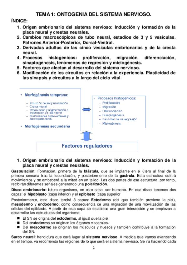 Miniatura del documento TEMA-1.pdf