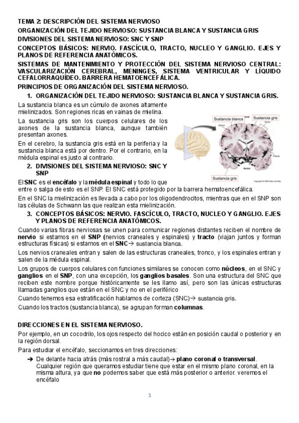 Miniatura del documento TEMA-2.pdf