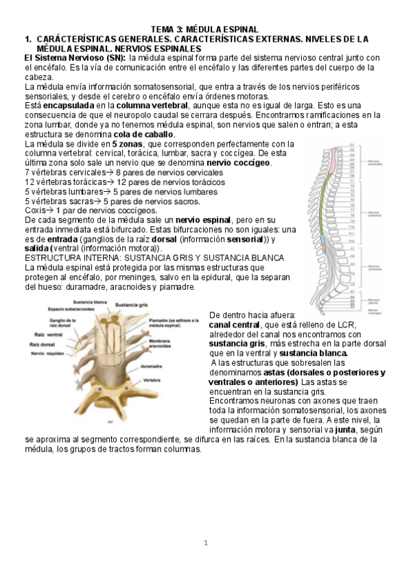 Miniatura del documento TEMA-3.pdf