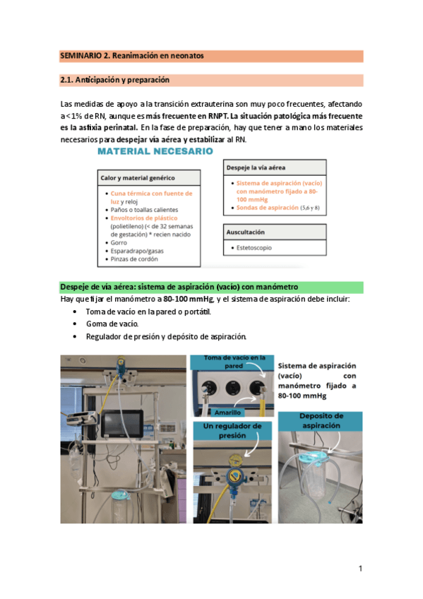 Miniatura del documento SEMINARIO-2.-RCPNeonato.pdf
