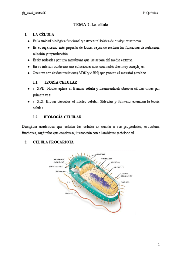Miniatura del documento TEMA-7.-La-celula.pdf