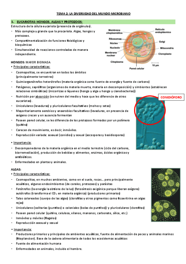 Miniatura del documento TEMA-2.pdf