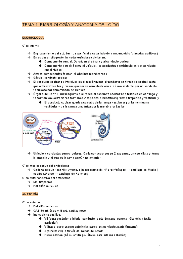 Miniatura del documento TEMA-1-EMBRIOLOGIA-Y-ANATOMIA-DEL-OIDO.pdf