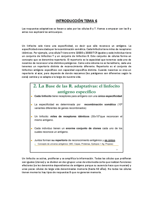 Miniatura del documento TEMA 5 - INTRODUCCIÓN AL TEMA 6.pdf