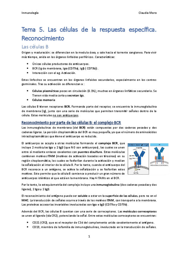 Miniatura del documento Tema-5.pdf