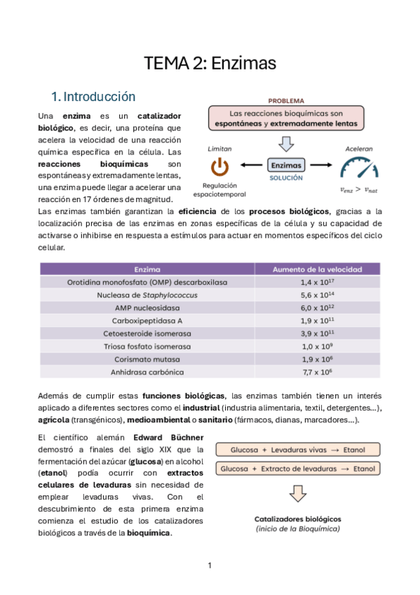 Miniatura del documento T2.-Enzimas-bioquimica.pdf